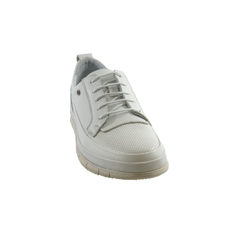 Greyder 67731