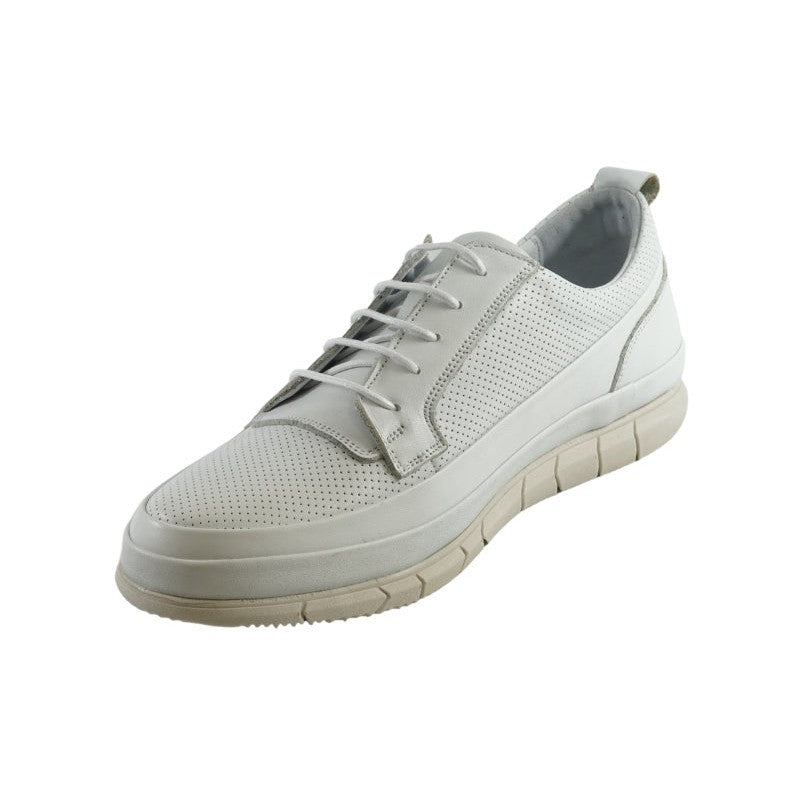 Greyder 67731