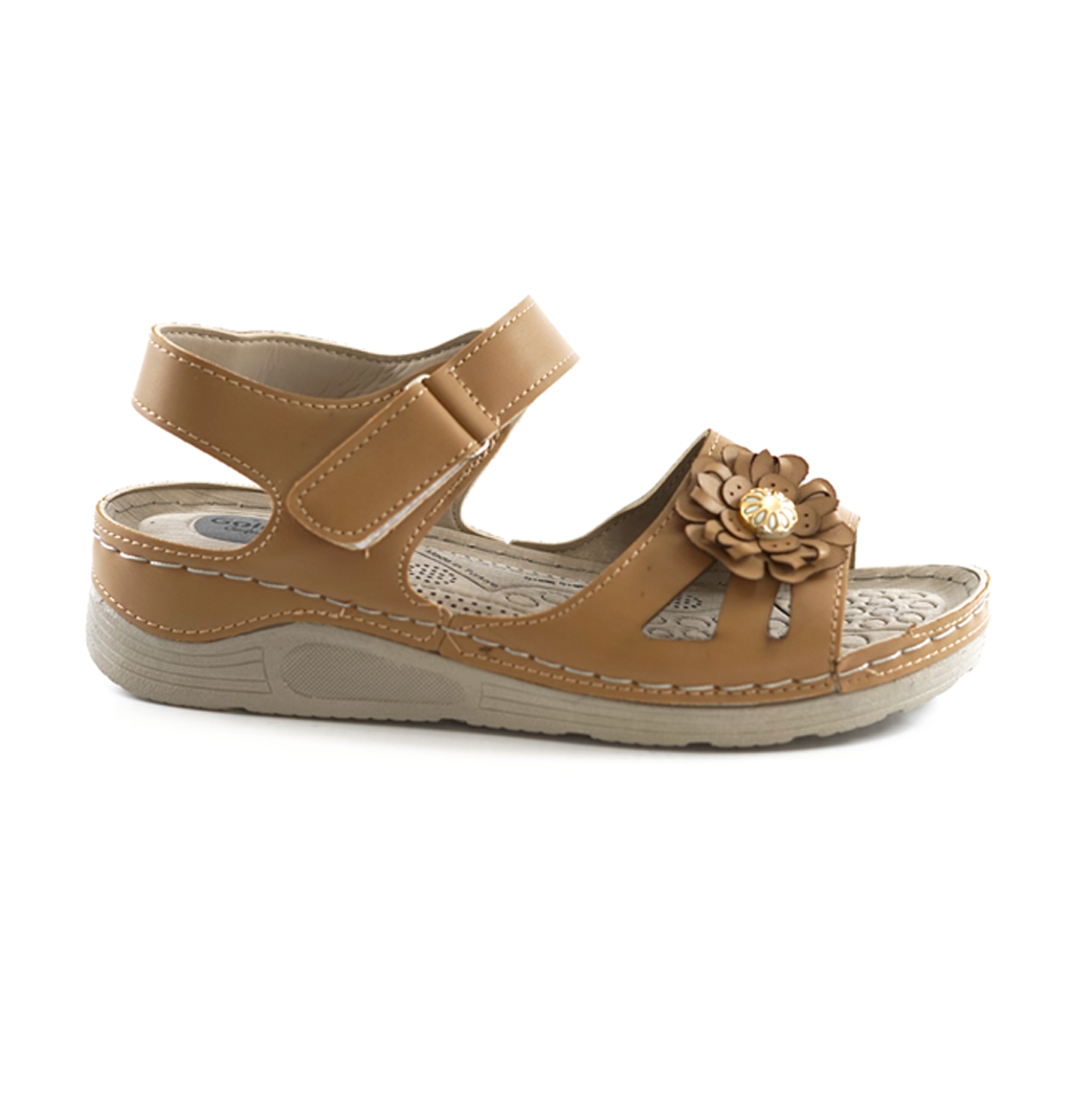 Golden Step S-954-018